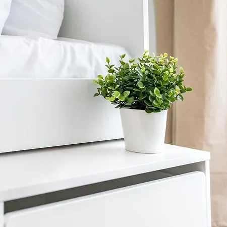 - Balcony - Stylish - Bright - Comfortable *